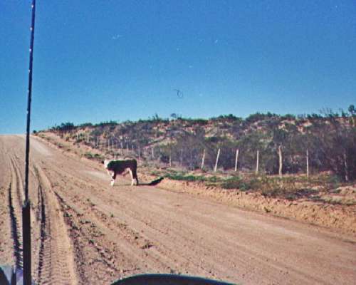 15.000 Ha Cullen Leufu, Rio Negro