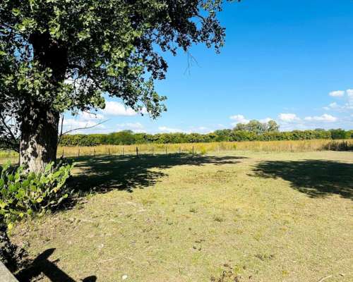 Mercedes, Buenos Aires - 14,5 Ha