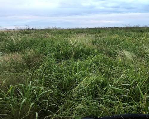 1930 Ha Agricolas en Casares con Ingreso por RN34 y RP13
