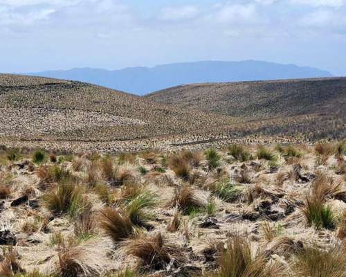 Pcia. de Catamarca - Singuil 5816 Has