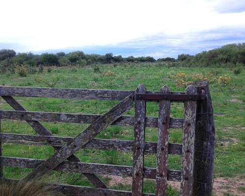 Vendo Campo Ganadero en San Luis