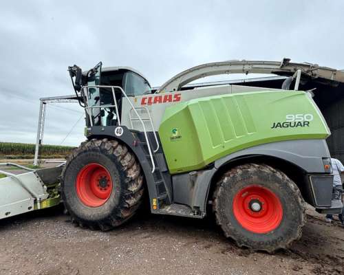 Picadora Jaguar 950 Claas