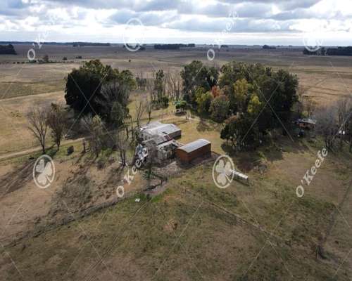 Campo en Venta de 100 Has en Veronica. Mixto