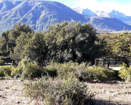 Lago Lezana 39 Ha Zona Cholila - Costa de Lago
