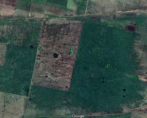 Campo Mixto Santa Clara de Buena Vista, Santa FE