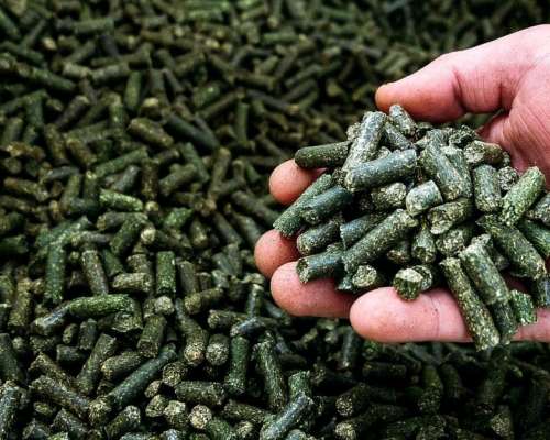 Pellet de Alfalfa - Calidad Premium. Precio a Consultar