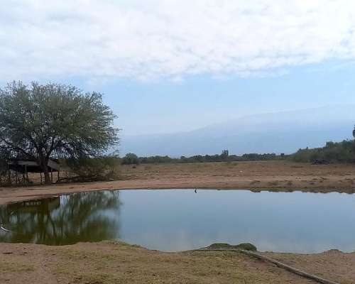Ferlot Campo Agricola Ganadero en Catamarca Vendo
