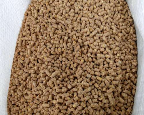 Alimento Balanceado para Potrillos Haras