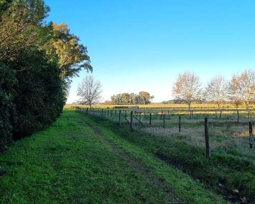 Mercedes, Buenos Aires - 35 Ha