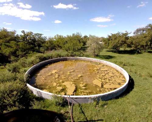 56 Hectáreas Sobre Autopista, Gualeguaychú.