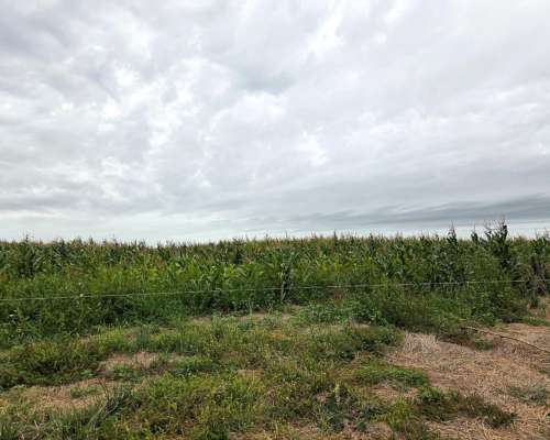 350 Hectareas Bolivar Venta