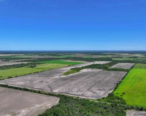 Pcia. de Entre Rios - Estacion Raices 63 Has