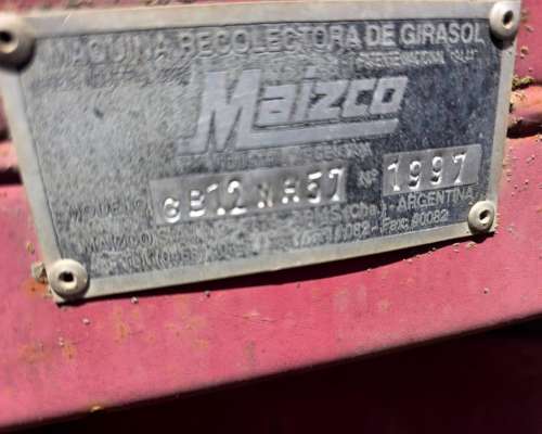 Girasolera Maizco de 12 a 70 cm