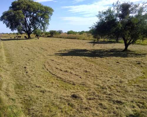 Vendo Lote de 25 X 25 Mts. en Mercedes - Corrientes