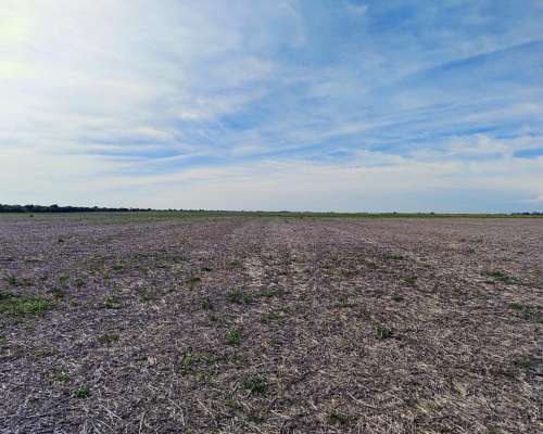 Vendo 135 Has Agricolas Basavilbaso ER