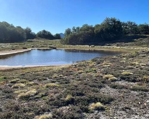 Venta Rio Negro Cordillera - Zona Manso 3915 Hectáreas