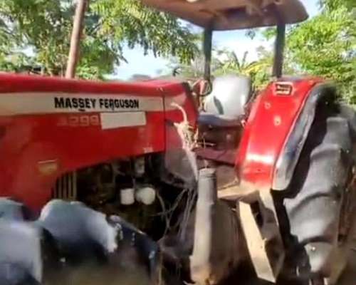 Agrícola Massey Ferguson 4299