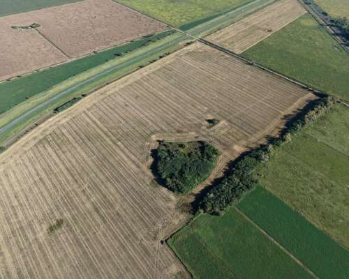 21 HA. Agricolas Sobre RN 34. San Genaro (santa FE)