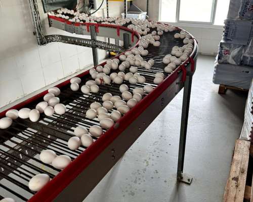 Conveyor 135 Mts X 500 MM