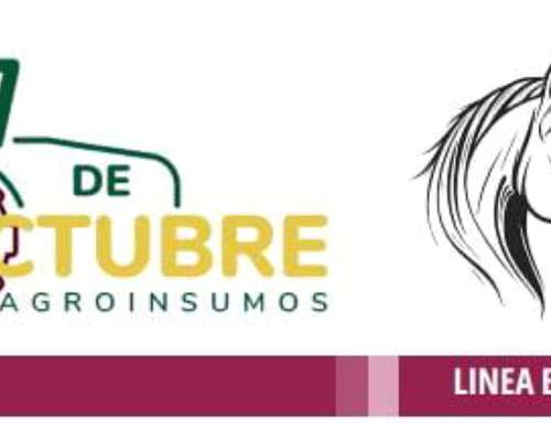 Alimento Balanceado para Potrillos Haras
