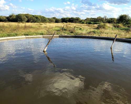 585 Ha Ganaderas en Alquiler – Santa FE