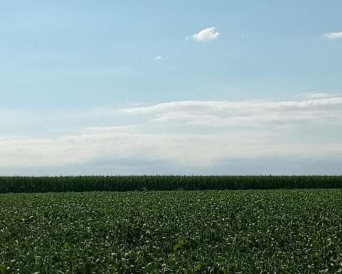 460 Ha Agrícolas en Venta en Capilla de Sitón