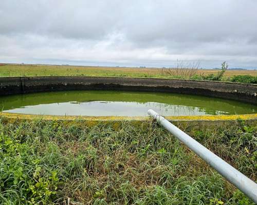 Oportunidad - Arrendamiento Campo Ganadero 1400 Ha