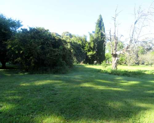 Dorbigny - 80 Ha - Buenos Aires