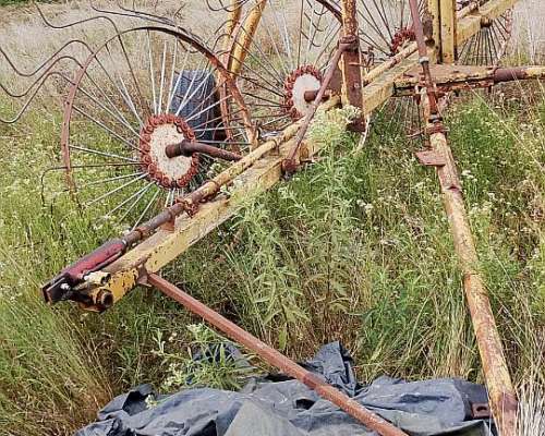 Rastrillo de 5 Estrellas para Recuperar