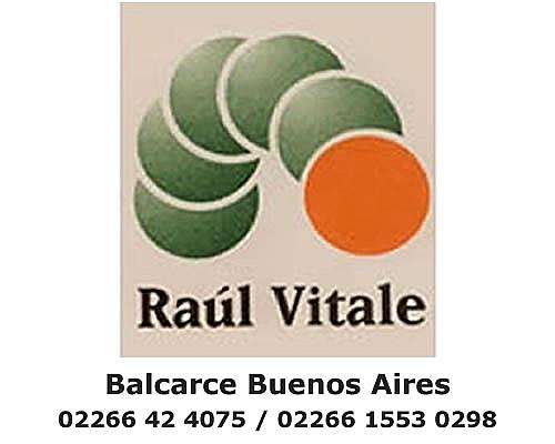 Venta 105 Has Agricolas Napaleofu - Balcarce