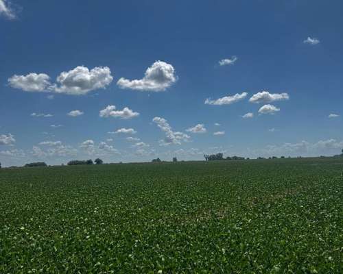 Campo Agrícola 107 Hectáreas