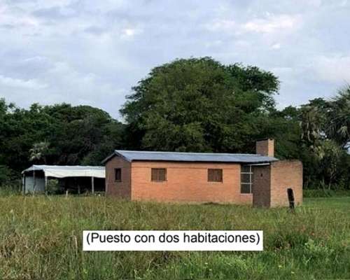 Campo 4168ha Mixto - San Luis del Palmar Corrientes