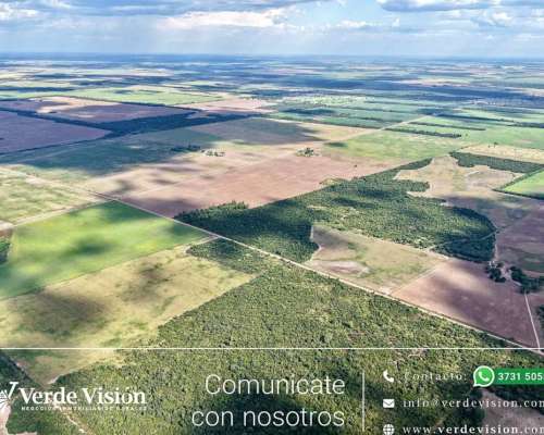 134 Has en Venta - Pcia del Chaco, Campo Largo