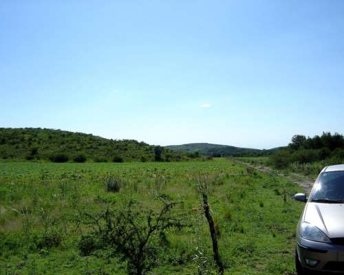 935 Hectareas en Villa Albertina