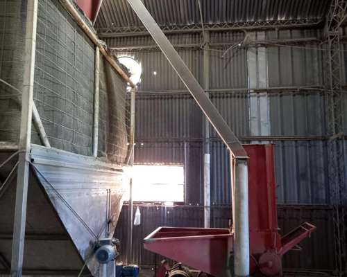 Peletizadora Alfalfa + Molienda