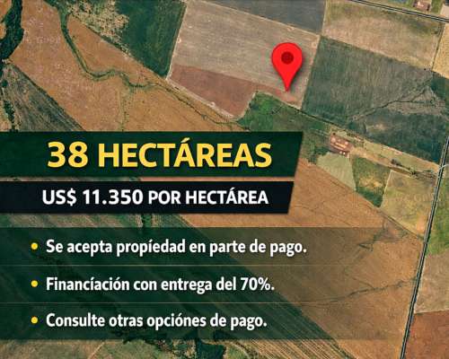 Se Vende en Sauce Pinto Entre Rios.