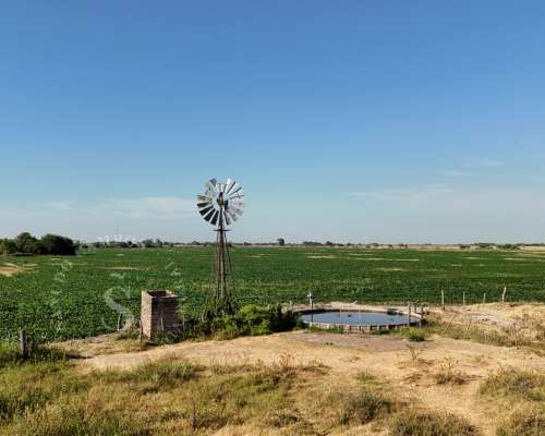 Venta Campo. 64 Hectáreas. Soledad, Santa FE.