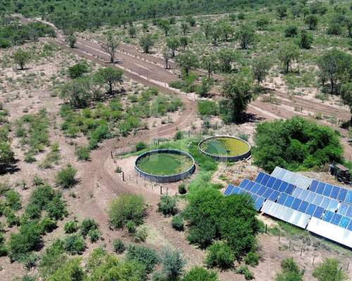 Campo Ganadero en Chuña, Córdoba