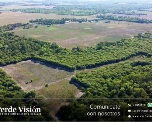 98 Has en Venta - Pcia del Chaco, Napenay