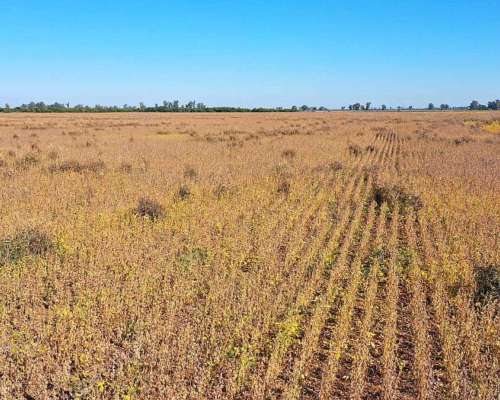 Pcia. de Santa FE - Colonia Raquel 103 Has