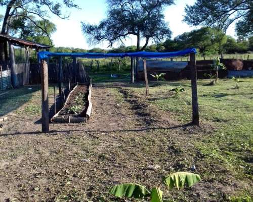 2.895 Ha en Paraguay- Magnífica para Ganadería