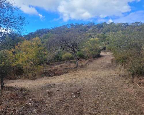 Campo Panorámico de 15 Ha en Coronel Moldes, Salta
