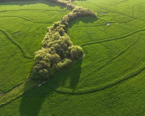 340 Ha Agricolas Capitan Sarmiento