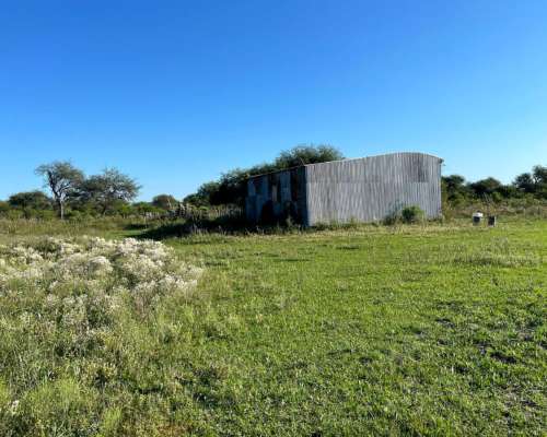 Campo Ganadero en Venta - 118 Has- Bovril, Dpto la PAZ