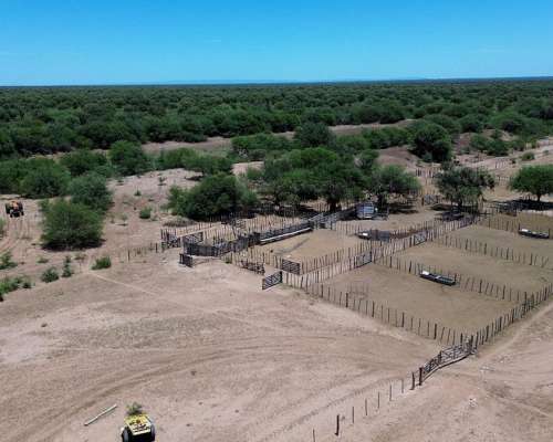 Campo Ganadero- 3.000 Ha en Chuña, Córdoba