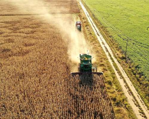 Vendo 400 Has Agrícolas