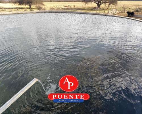 En Venta 1250 HA. en Luan Toro, la Pampa