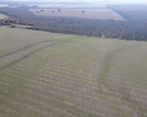 Campo Agrícola en Rocamora de 59 Hectáreas.