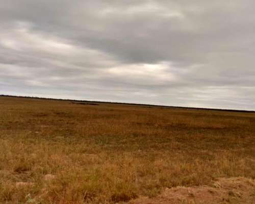 Vende Excelente Campo Ganadero