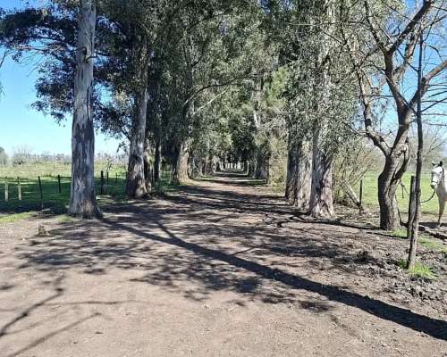 Campo de 47 Has en Manzanares, Apto EMP Industrial